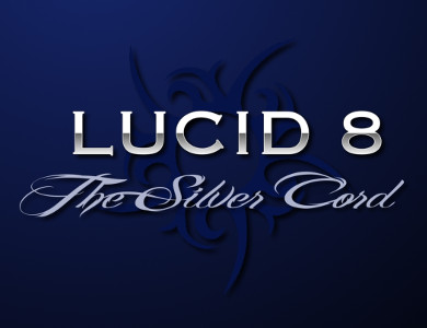 Lucid 8 Portfolio Page